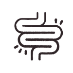 GUT FRIENDLY